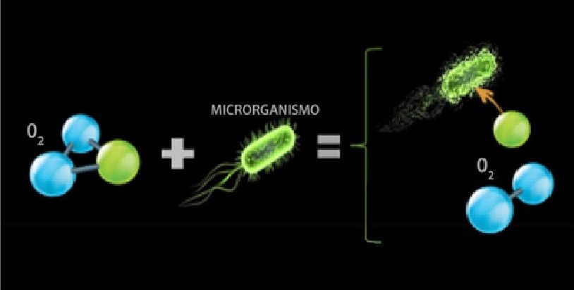 Como o ozônio age em microrganismos